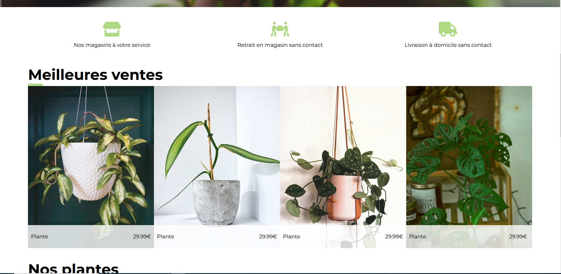 Des plantes mis en vente